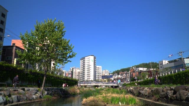 Park and walking trails by the stream surrounded by greenery and city