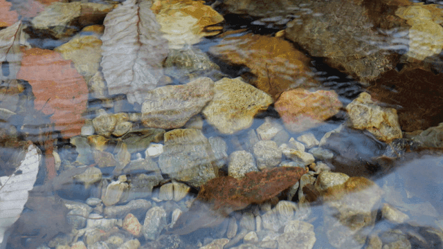 Clear water flowing over colorful stones