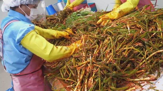 Workers preparing green onion kimchi in a food processing facility