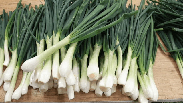 Fresh green onions arranged neatly