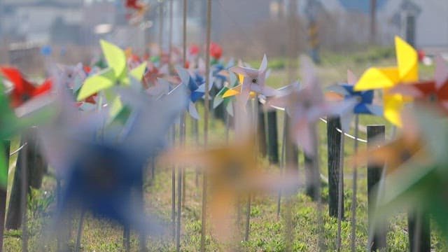 잔디 위에서 회전하는 색색깔의 바람개비