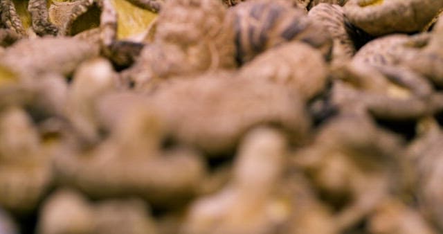 가득 쌓여있는 말린 버섯