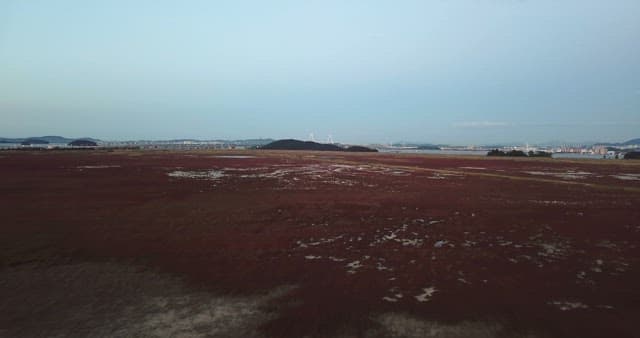 Expansive field with distant city view