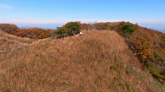 가을 단풍이 덮인 산 경관