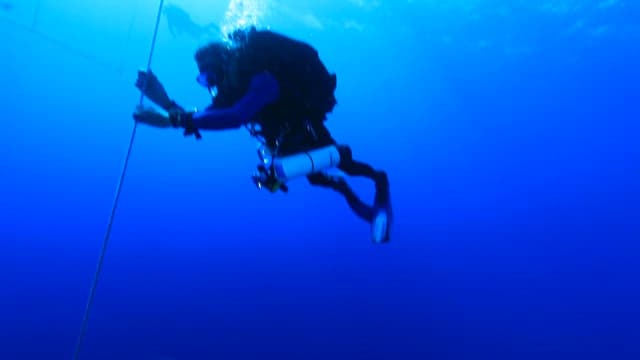 바닷속을 헤엄치는 다이버