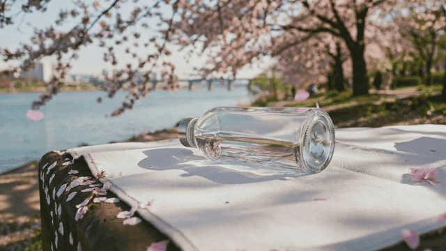 Cherry blossoms by river and water bottle