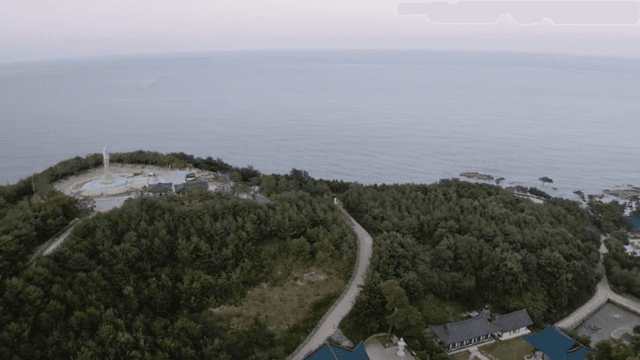 숲으로 둘러싸인 사찰의 항공 뷰