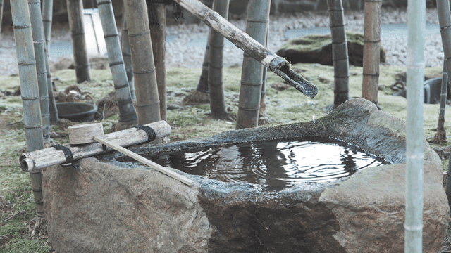 Traditional bamboo water feature in a garden