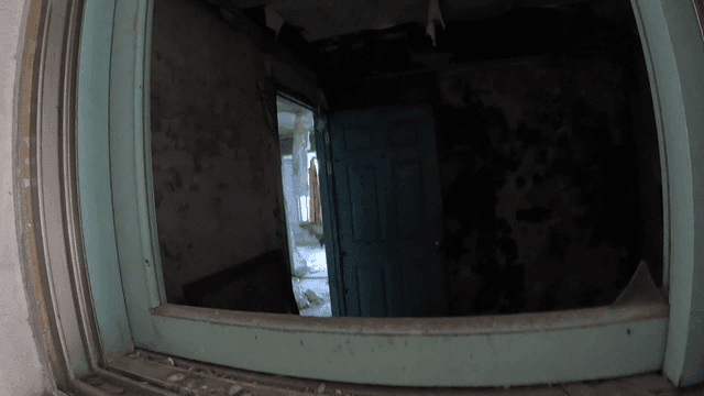 비둘기가 있는 버려진 방