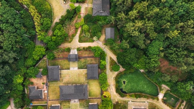푸른 나무로 둘러싸인 한국 전통 가옥
