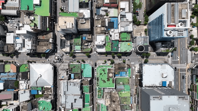 녹색 지붕이 있는 지역의 항공 뷰