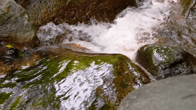 Flowing water over mossy rocks