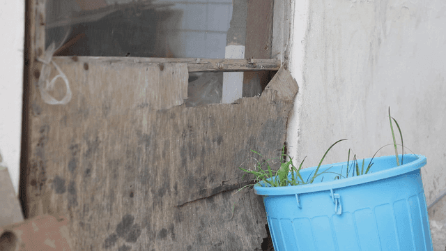 Old wooden door with a blue bucket