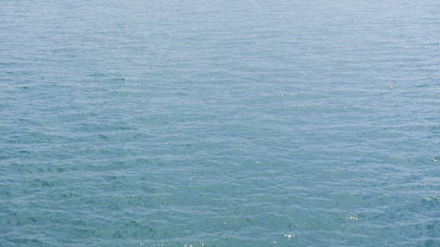 멀리 산이 보이는 잔잔한 바다