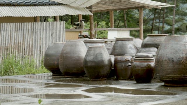 비가 와서 축축하게 젖은 흐린 날의 장독대