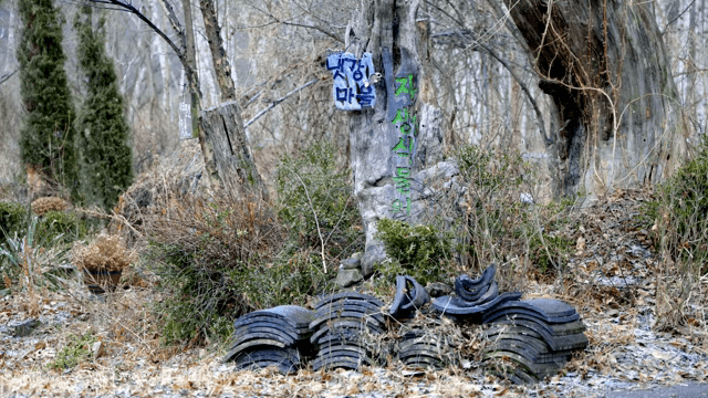 Snowy forest with tiles and wooden signs