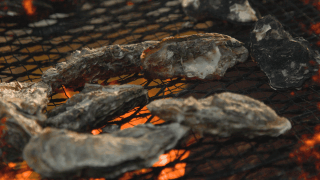 Grilled oysters
