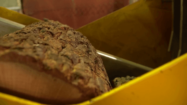 Wood logs being processed in a machine