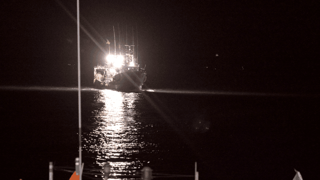 Fishing boat illuminated at night on the sea