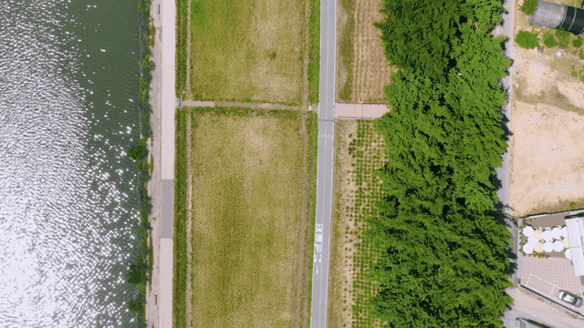 Riverside park, green trees, and paths