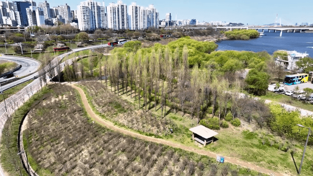 강과 녹색 공원이 있는 도시 풍경