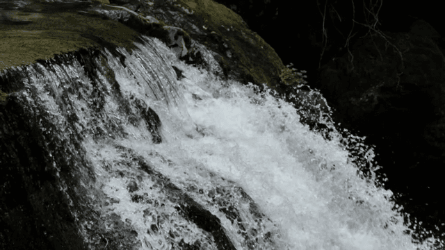 이끼 낀 바위를 흐르는 물