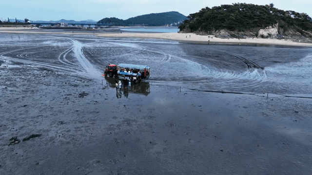 해안 근처 갯벌을 탐험하는 사람들