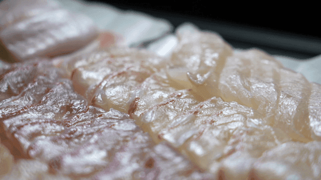 Freshly sliced raw fish on a plate