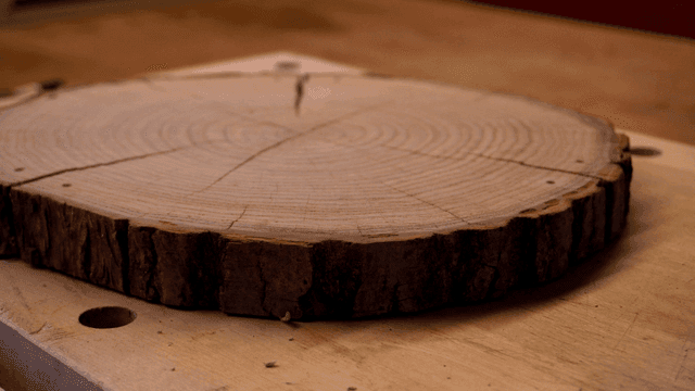 테이블 위 나무 단면의 클로즈업