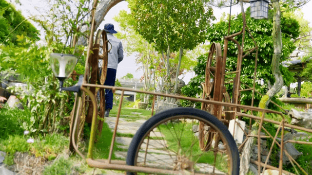 Person walking through a lush garden