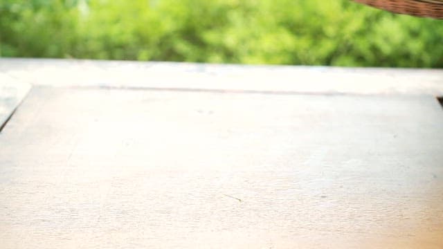 Freshly harvested eggplants in a basket