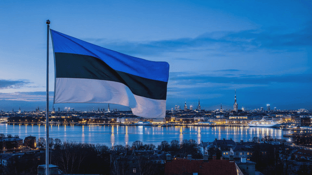 City skyline at twilight and Estonian flag