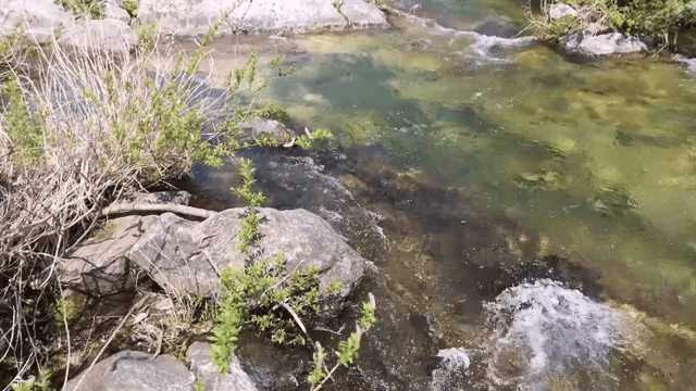 바위를 흐르는 맑은 시냇물