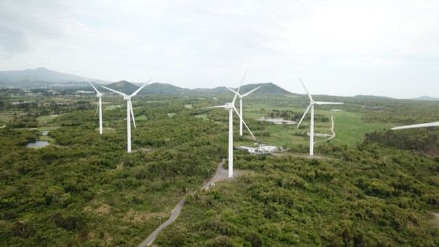 Wind turbines amidst fields full of green foliage