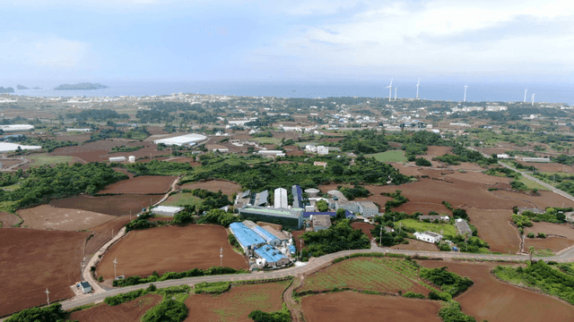 풍력 터빈이 있는 넓은 농경지