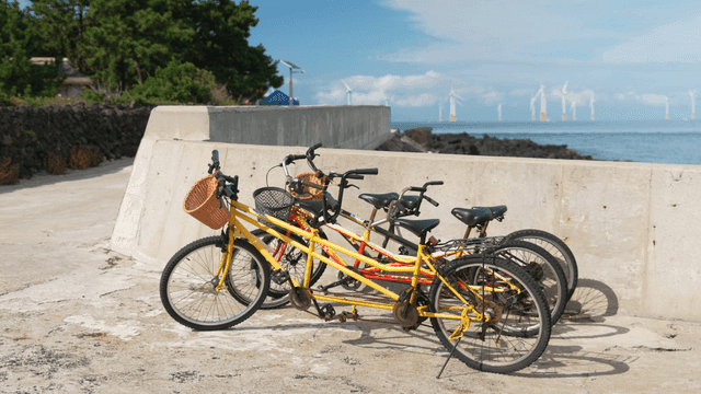 Bicycles parked by the seaside with wind turbines