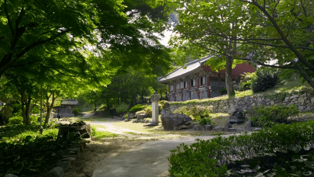 푸른 나무로 둘러싸인 전통 사찰