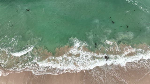 Aerial view of a beach with kite surfing