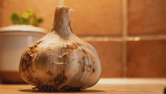 주방 조리대 위의 마늘