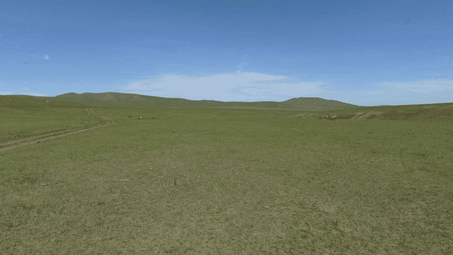 맑은 하늘 아래 광활한 초원