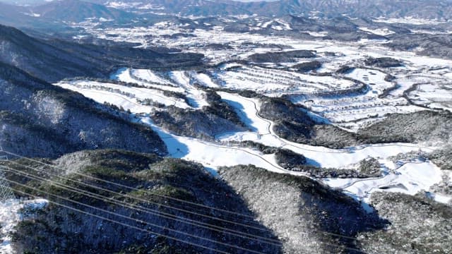 Winter Landscape with Snow-Covered Trees