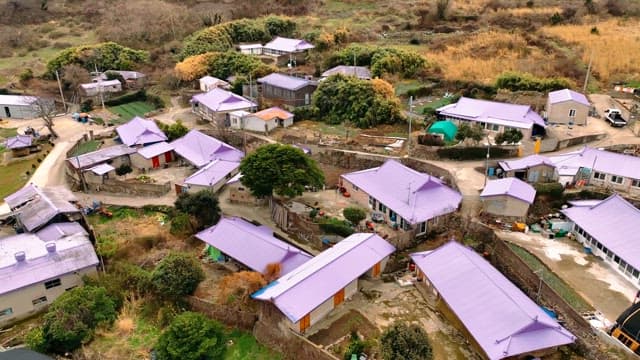 Rural village with purple-roofed houses