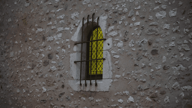 European building windows with bars