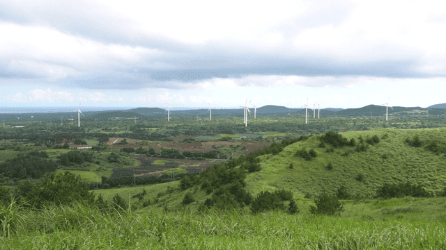 Grassland with wind turbines and farmland