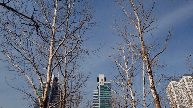 고층 빌딩이 보이는 도시 공원