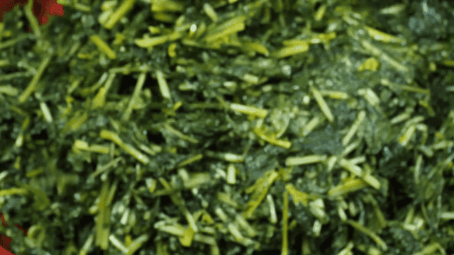 소금물에 절인 열무