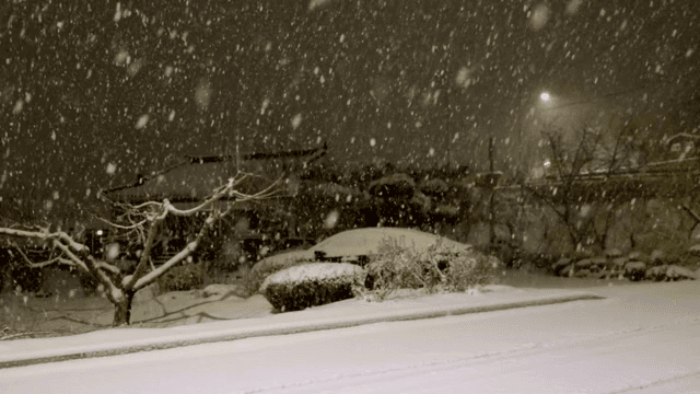 Snowfall in a quiet neighborhood at night