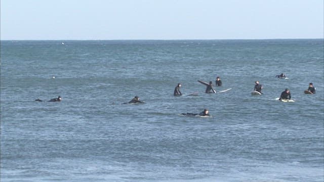 Surfers Waiting for Waves at Sea