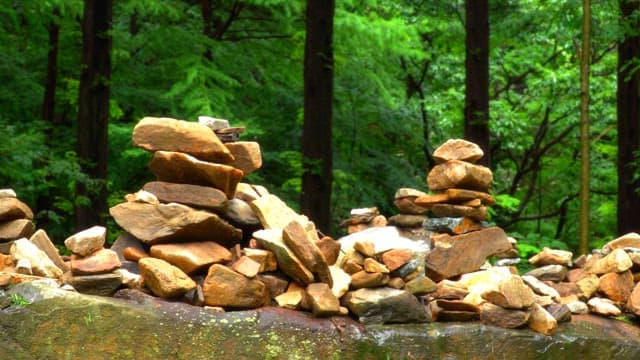 Stacked stones in a lush green forest