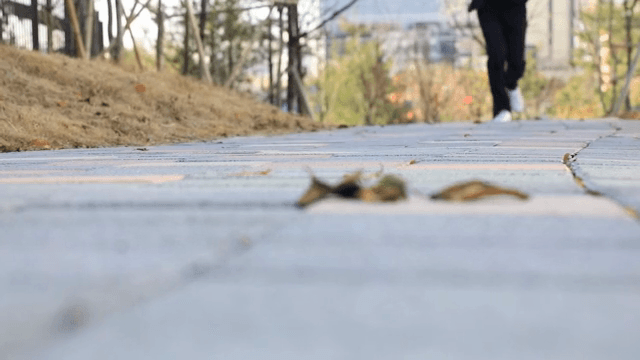 A person running quickly along a park trail